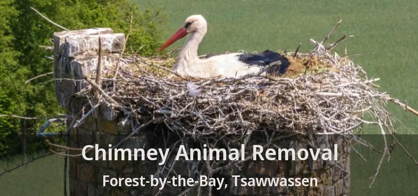 Chimney Animal Removal Forest-by-the-Bay, Tsawwassen - BC