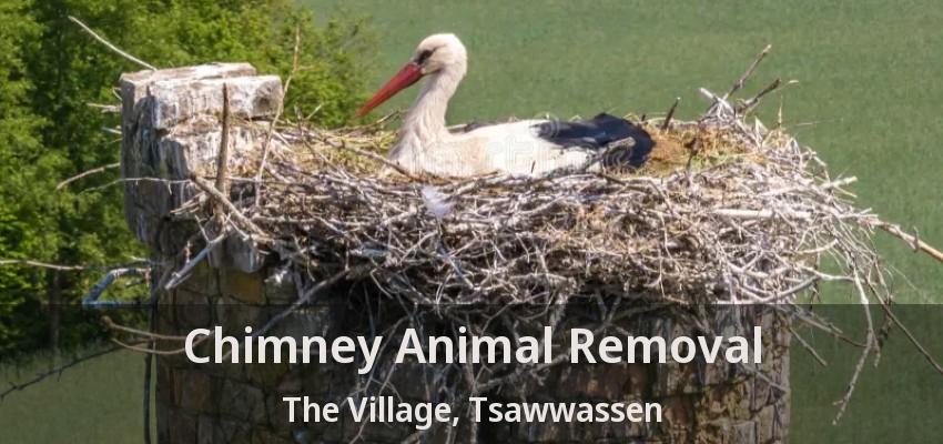 Chimney Animal Removal The Village, Tsawwassen - BC