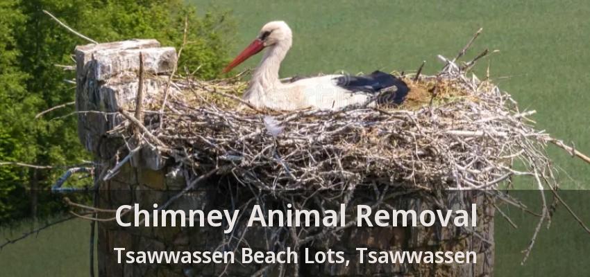 Chimney Animal Removal Tsawwassen Beach Lots, Tsawwassen - BC