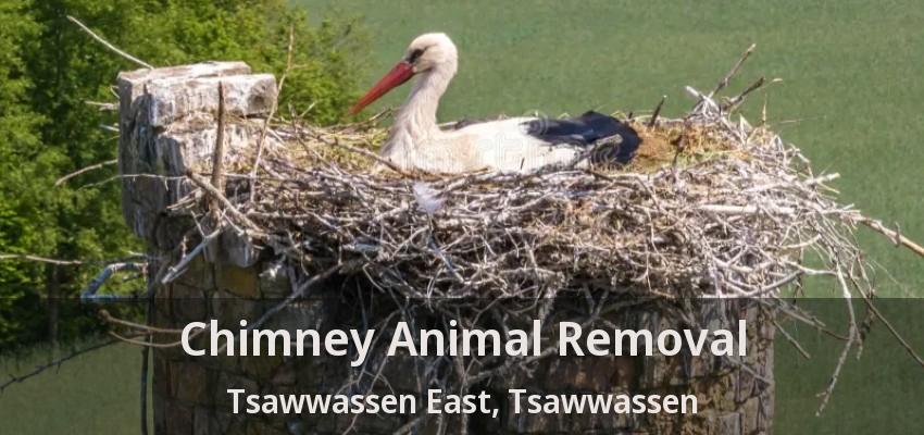 Chimney Animal Removal Tsawwassen East, Tsawwassen - BC