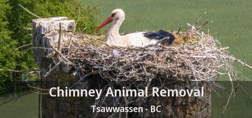 Chimney Animal Removal Tsawwassen - BC