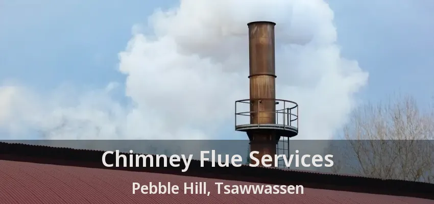 Chimney Flue Services Pebble Hill, Tsawwassen - BC