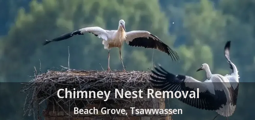Chimney Nest Removal Beach Grove, Tsawwassen - BC