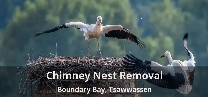 Chimney Nest Removal Boundary Bay, Tsawwassen - BC