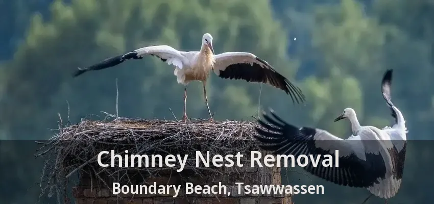 Chimney Nest Removal Boundary Beach, Tsawwassen - BC