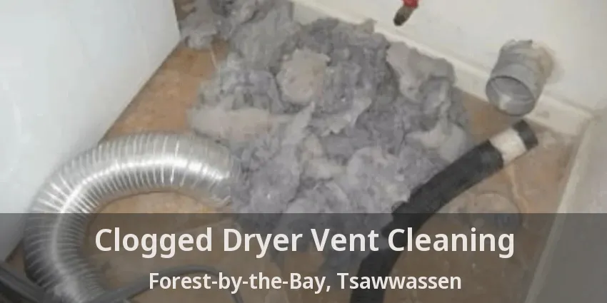 Clogged Dryer Vent Cleaning Forest-by-the-Bay, Tsawwassen - BC