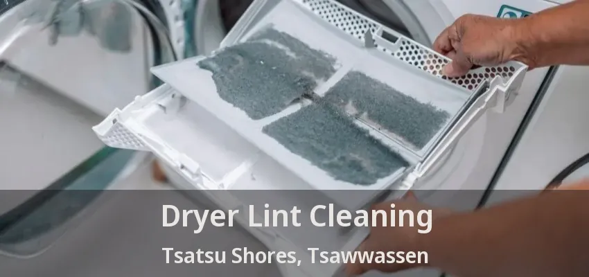 Dryer Lint Cleaning Tsatsu Shores, Tsawwassen - BC