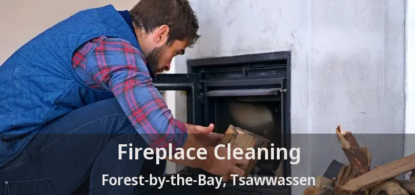 Fireplace Cleaning Forest-by-the-Bay, Tsawwassen - BC