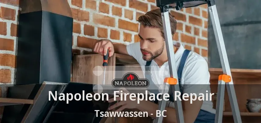 Napoleon Fireplace Repair Tsawwassen - BC