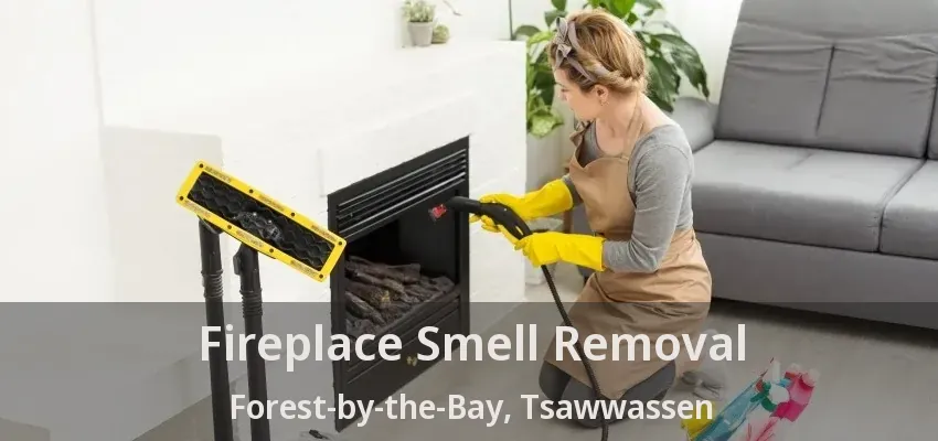 Fireplace Smell Removal Forest-by-the-Bay, Tsawwassen - BC