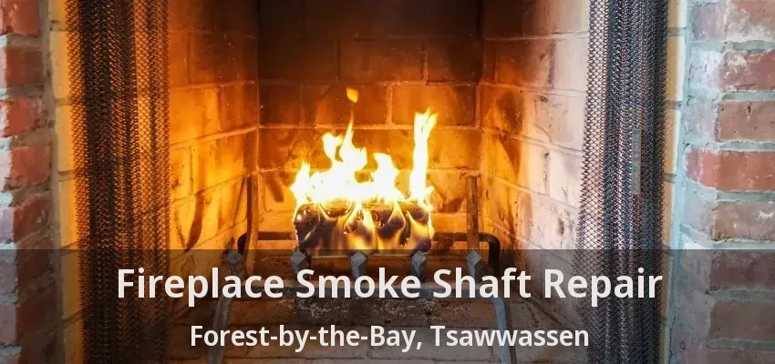 Fireplace Smoke Shaft Repair Forest-by-the-Bay, Tsawwassen - BC