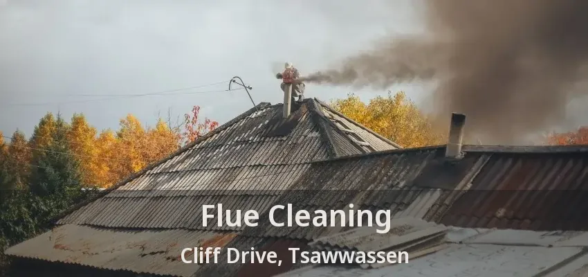 Flue Cleaning Cliff Drive, Tsawwassen - BC