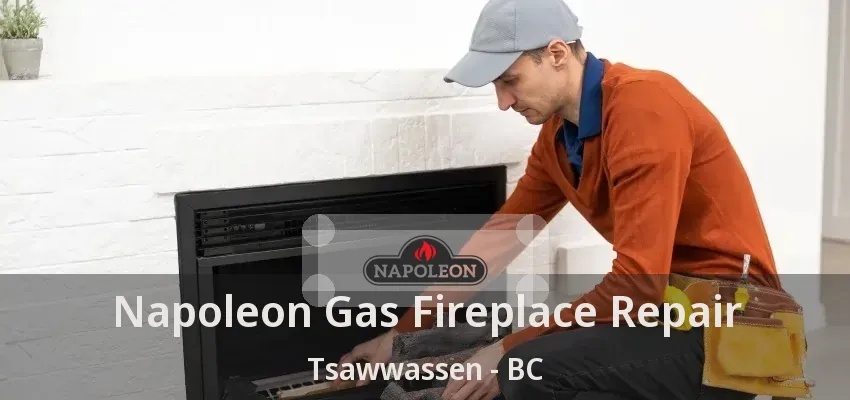 Napoleon Gas Fireplace Repair Tsawwassen - BC