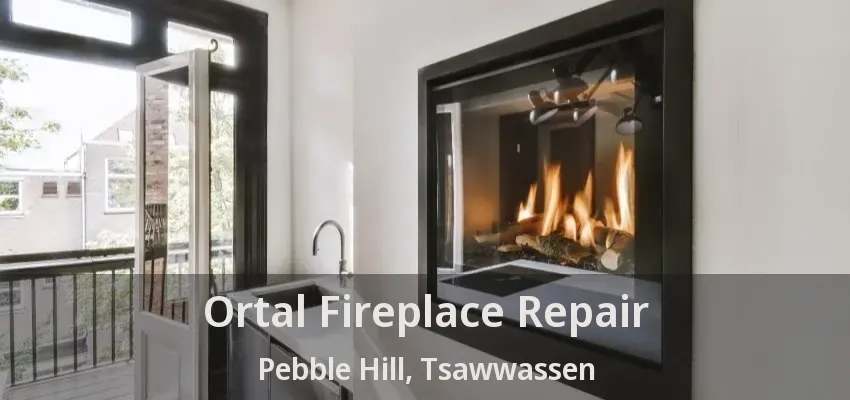 Ortal Fireplace Repair Pebble Hill, Tsawwassen - BC