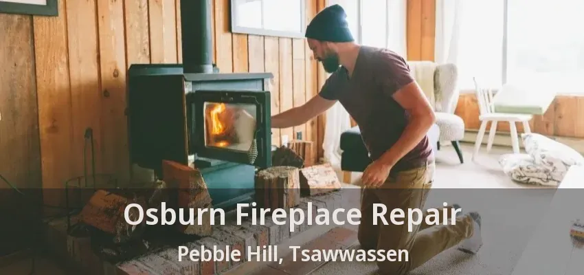 Osburn Fireplace Repair Pebble Hill, Tsawwassen - BC