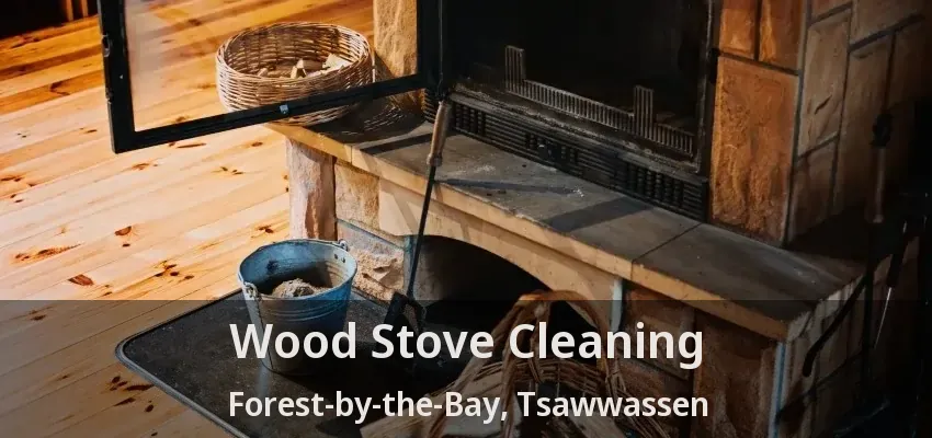 Wood Stove Cleaning Forest-by-the-Bay, Tsawwassen - BC