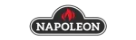 Napoleon Regency Fireplace Repair in Tsawwassen